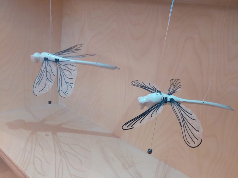 David Tabasky , Shirel Wagensberg