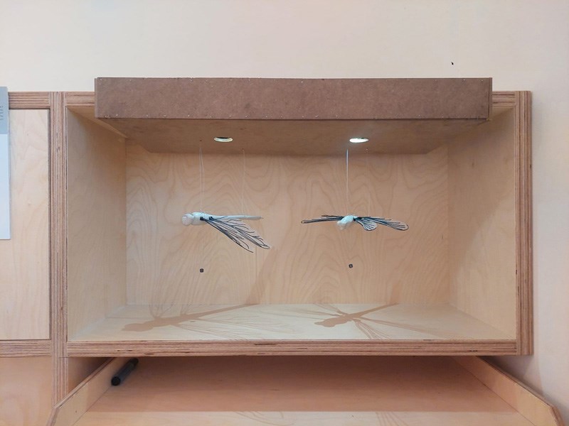 David Tabasky , Shirel Wagensberg