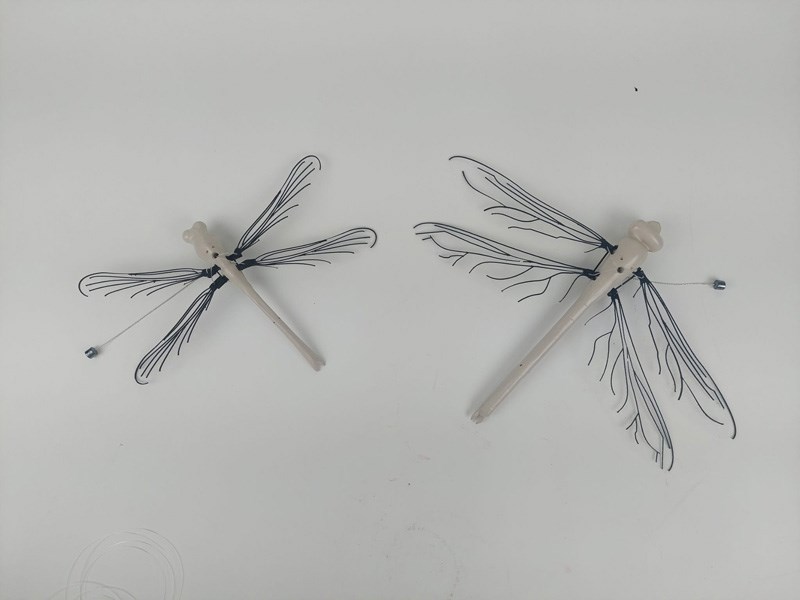 David Tabasky , Shirel Wagensberg