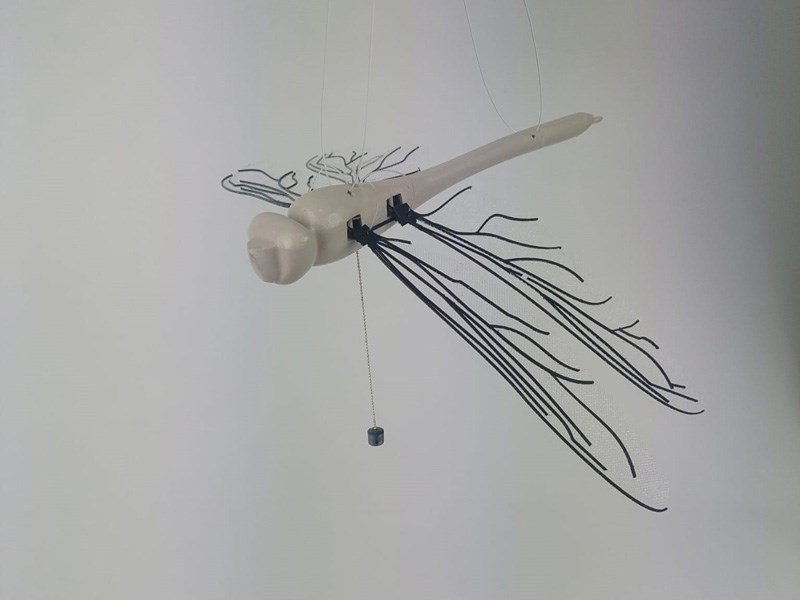 David Tabasky , Shirel Wagensberg