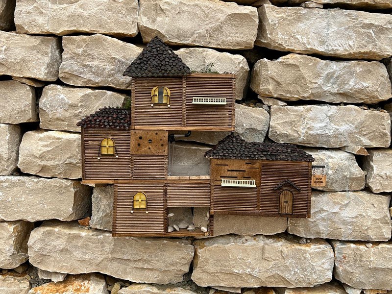 Esther Gaz ,  Shon Bezalel