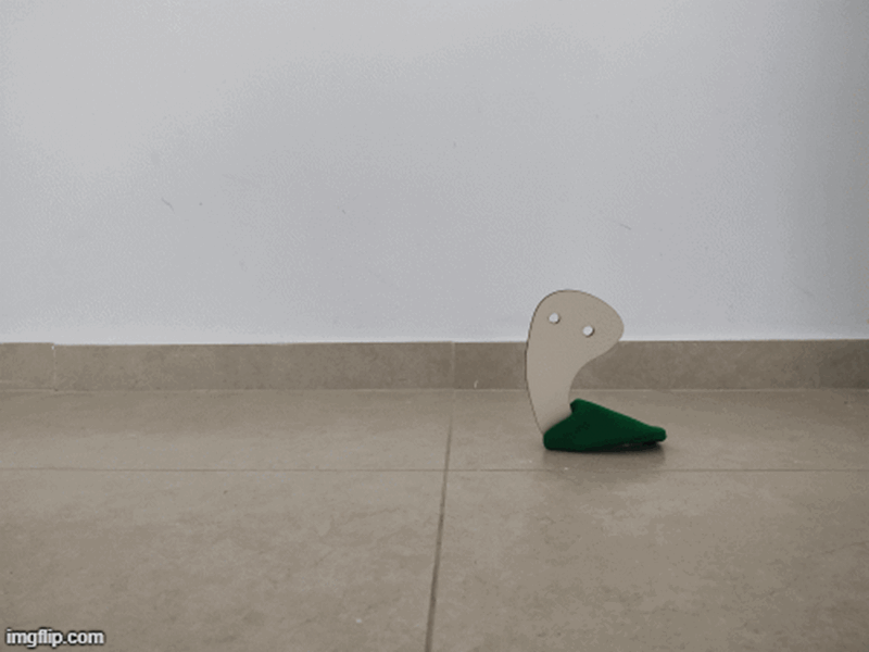 Adi Gefen-Gif