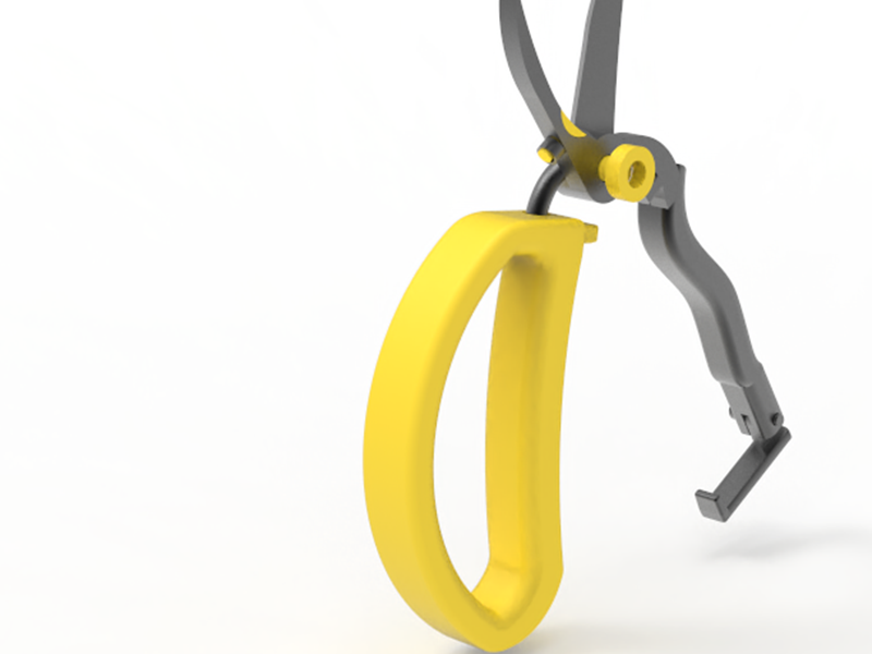 Zalta Dana + moses reut