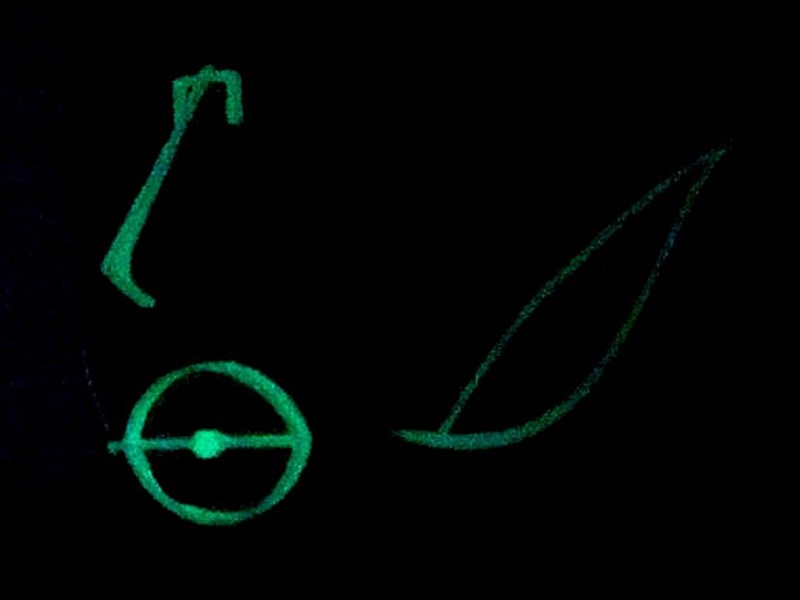 Zalta Dana + Zaguri Adi + Amar Tamar