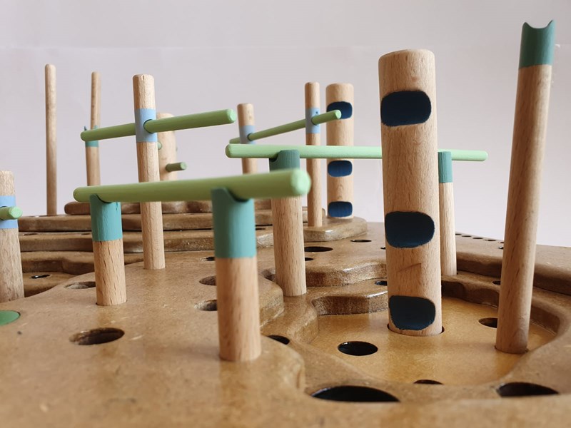 BEN SHALOM RONI + Vagner Tehila + Orman Shayna