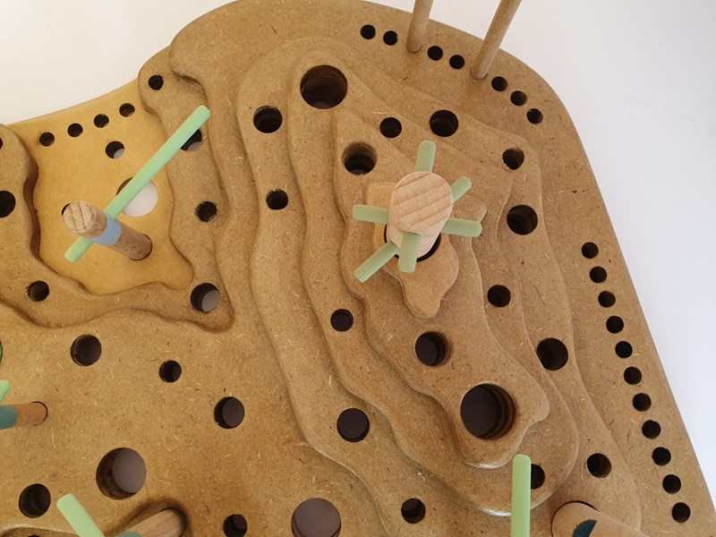 BEN SHALOM RONI + Vagner Tehila + Orman Shayna