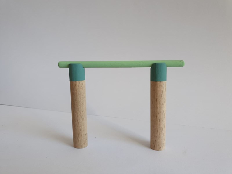 BEN SHALOM RONI + Vagner Tehila + Orman Shayna