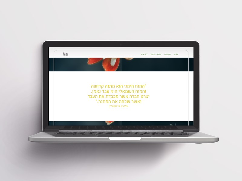 Rotem Shpigel Hadar Sasson