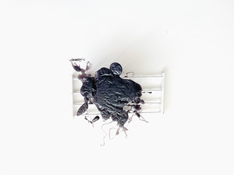 Gal Peled, Adi Stern