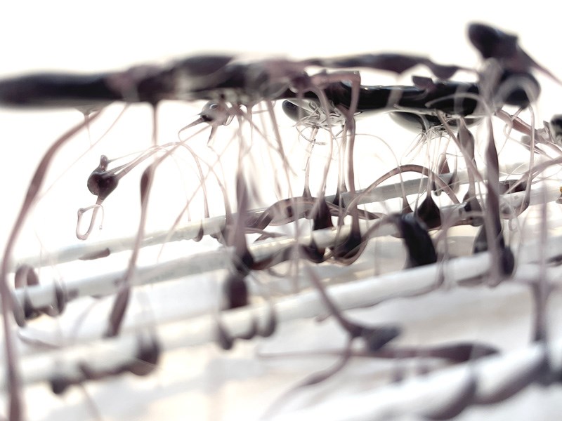 Gal Peled, Adi Stern