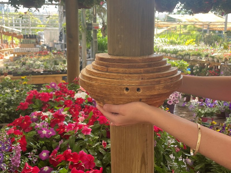 עדי שטרן וגל פלד