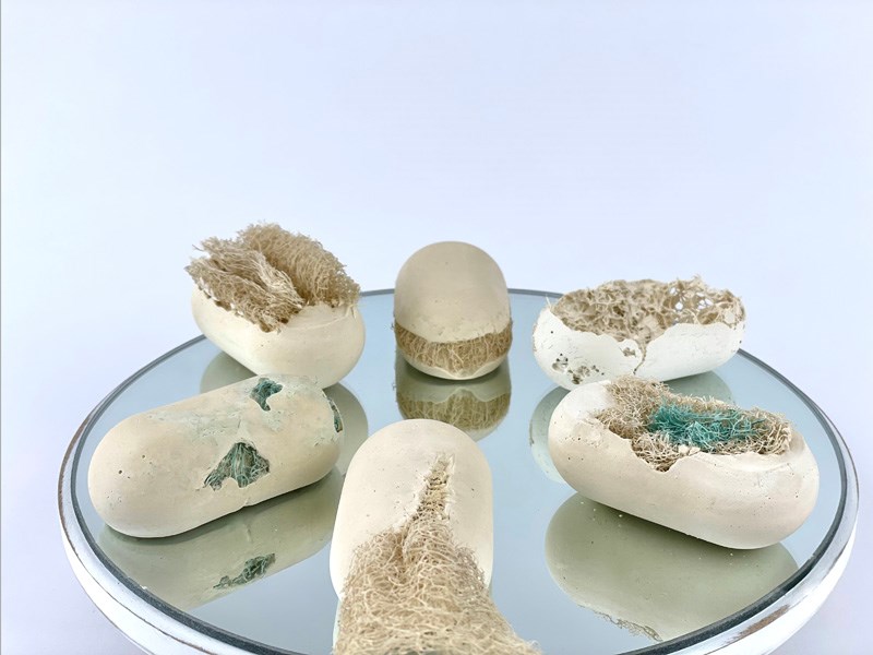 שיר צוקרון, נועה כהן, מאי פלסקוב