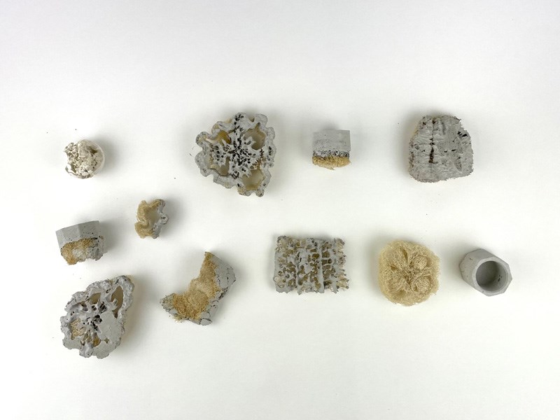 שיר צוקרון, נועה כהן, מאי פלסקוב