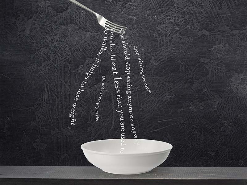 adi zaguri and tamar amar