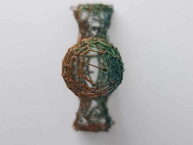 Danielle Feldhamer, Orel Yaakov, Herut Kortzvail, Noya Meir