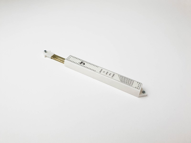 Bar Netanel, Liora Lev Tzion, Aviya Cohen, Adir Navon