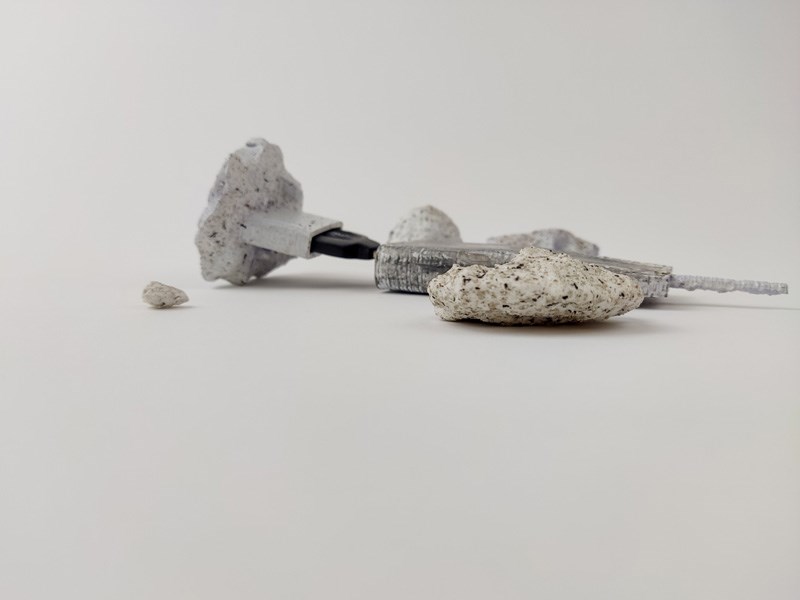 Bar Netanel, Liora Lev Tzion, Aviya Cohen, Adir Navon