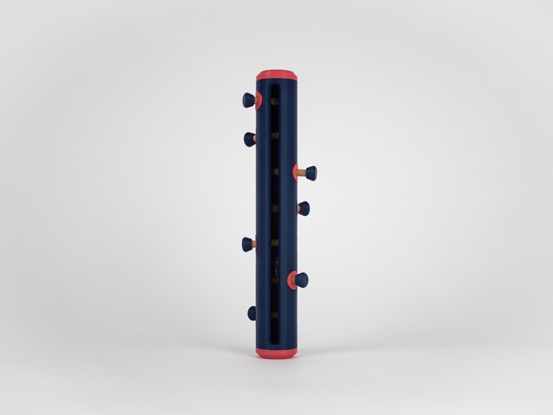 Noam Golany, Avraham Epstein, Dekel Izacson, Avigail Ben Hamo, Tal Arbel