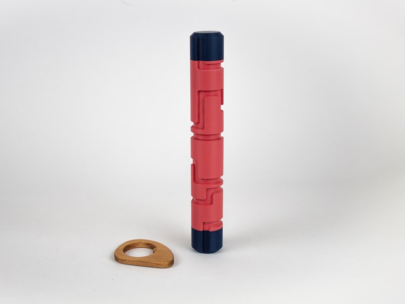 Noam Golany, Avraham Epstein, Dekel Izacson, Avigail Ben Hamo, Tal Arbel