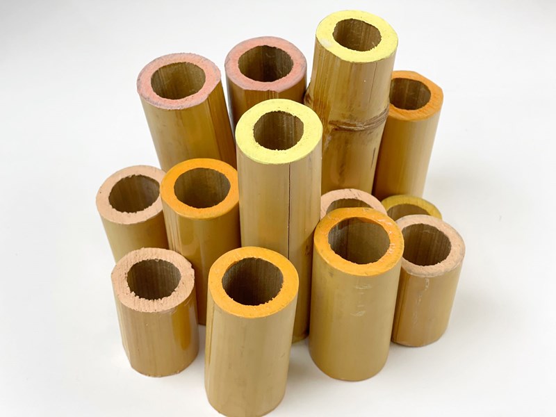 Omer Oster, Tom Adele Ben Hamo, Roni Fadida, oshri sabag and Noa Cohen