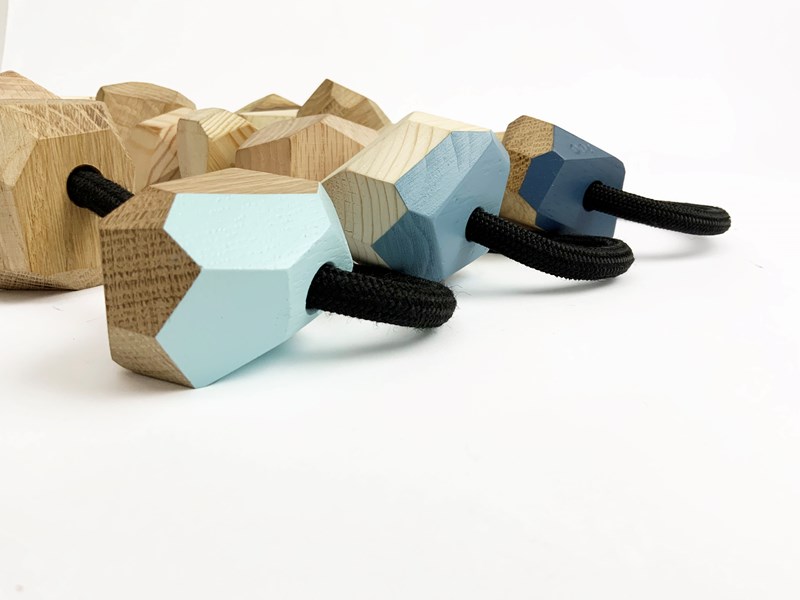 Shir Goldshtein,  Maya Halevy, Gabby Turetsky and  Eden Israeli