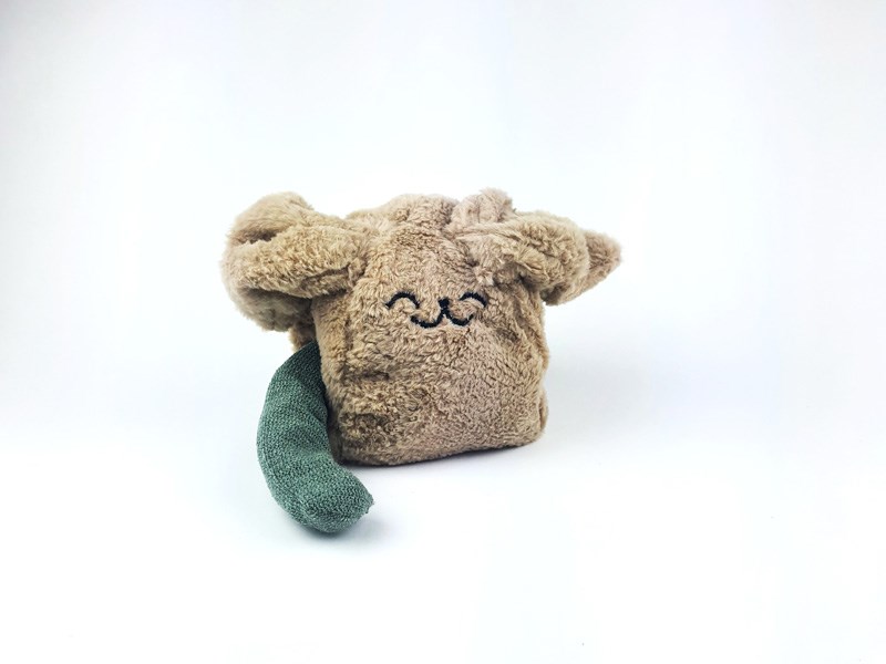 Erel Areye, Sapir Dahan