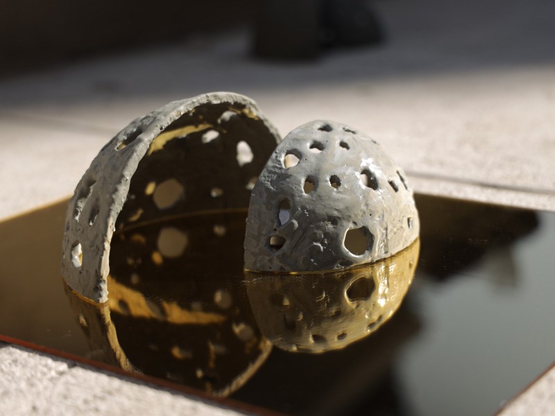 Bar Netanel, Ariel Paley