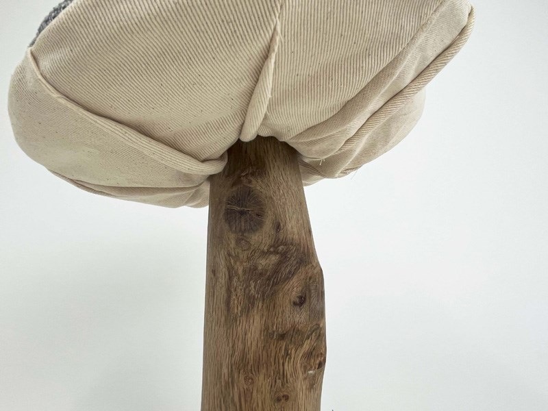 Bar Netanel, Ariel Golan and Lotam Huri