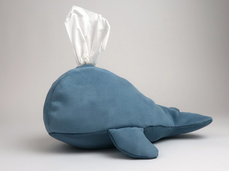 Danielle Feldhamer, Eleanor atrakji