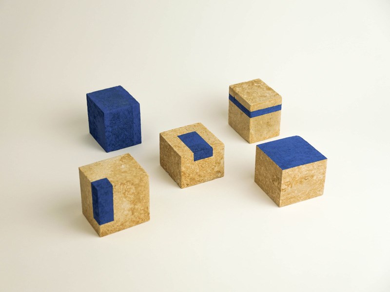 Noam Golany ziv barlev