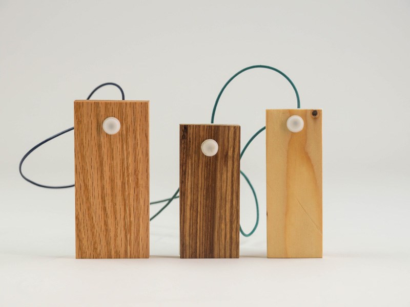 Noam Golany ziv barlev