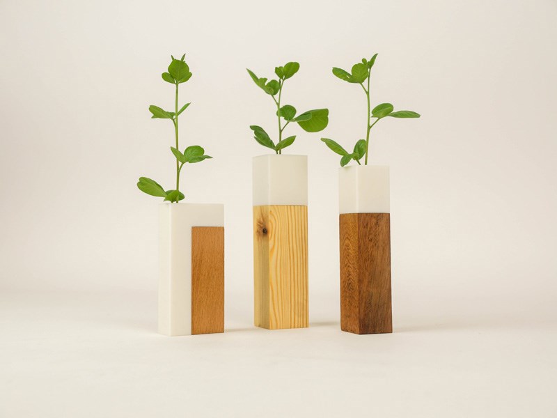 Noam Golany ziv barlev