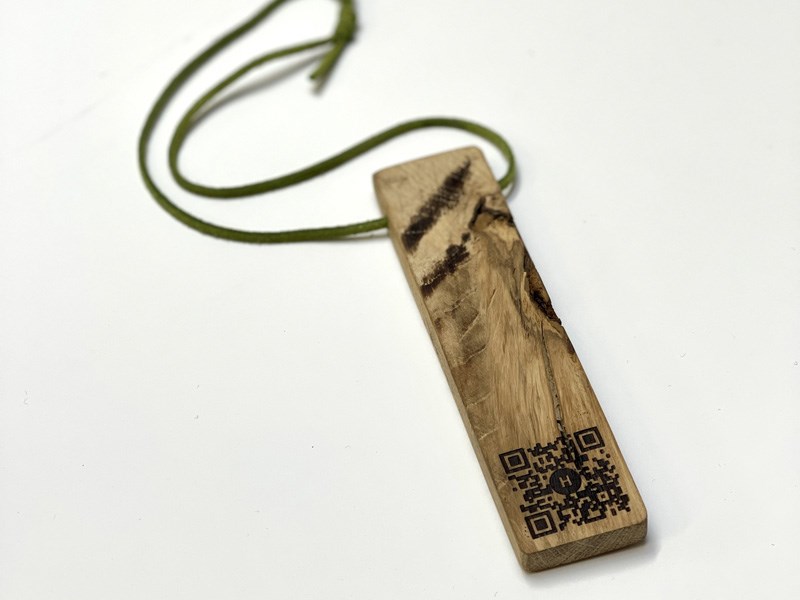 Omer Oster Noa Cohen