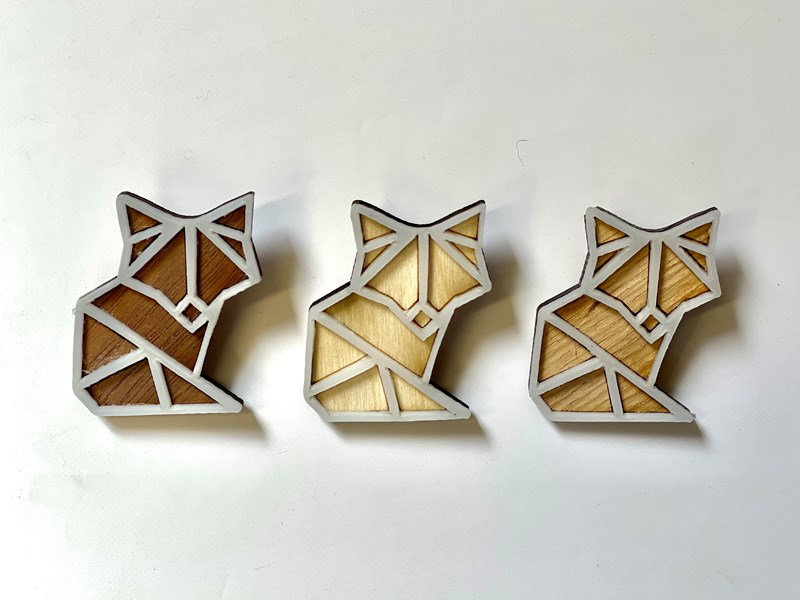 Omer Oster Noa Cohen