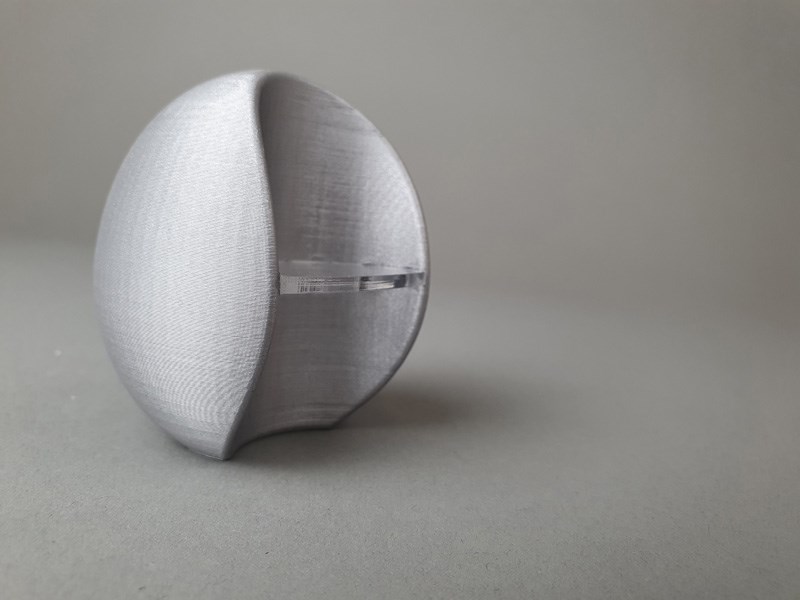 Adir Navon and Liora Lev Tzion