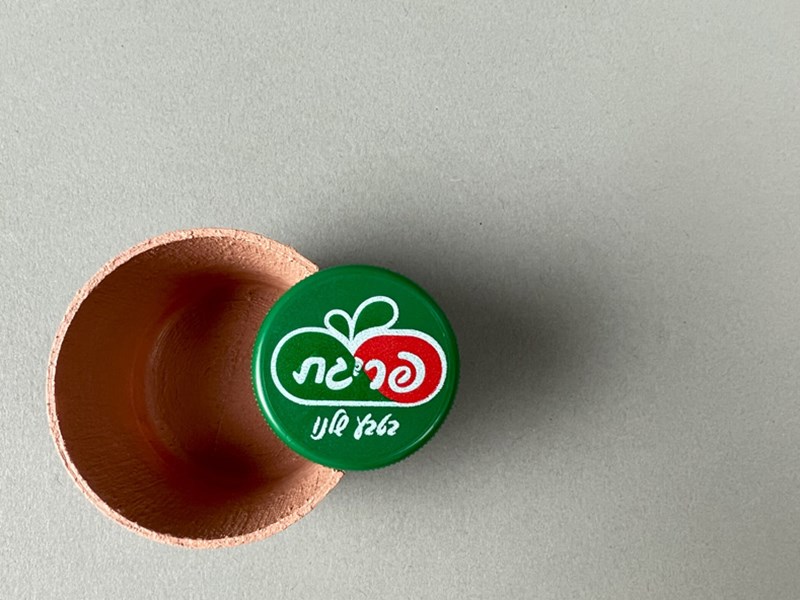 Aviya Cohen and Avihai Chitrit