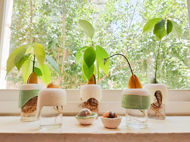 Danielle Feldhamer and Ariel Shragai