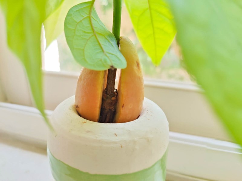 Danielle Feldhamer and Ariel Shragai