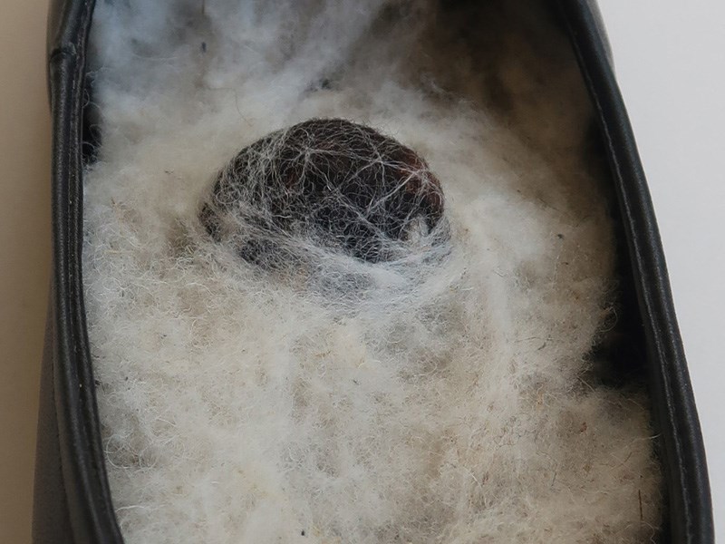 Eleanor atrakji and Amor Berman