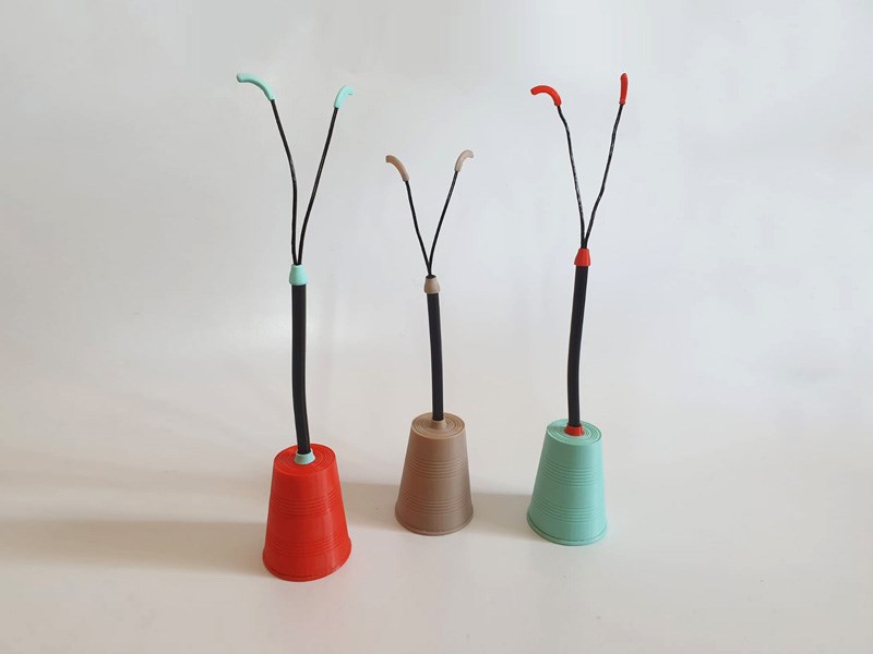 Tene Ariel and Itai Efrat